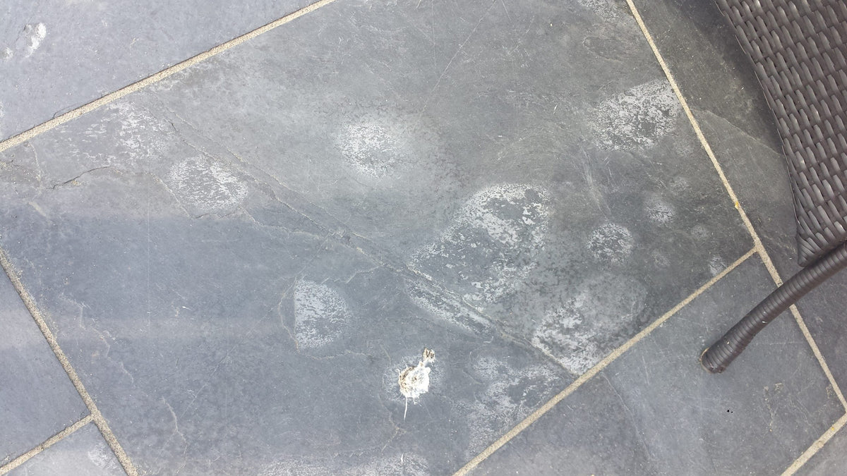 Cement, Grout & Salt Residue Remover (exterior use)