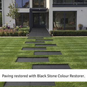 Black Stone Colour Restorer